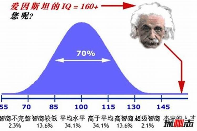 双子座的智商是多少(男生)