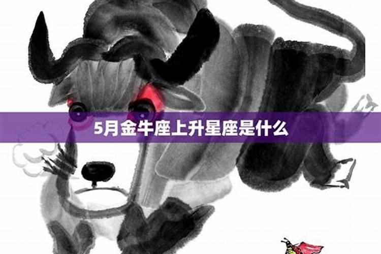 上升金牛的性格特点