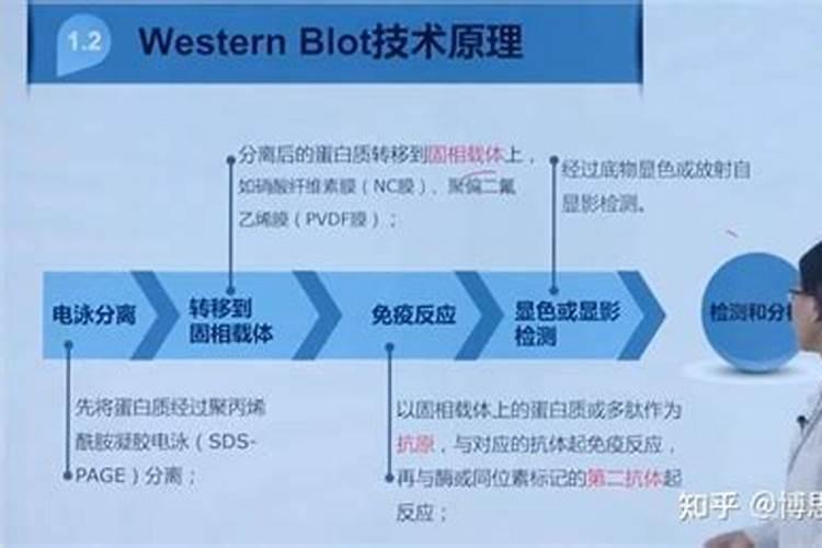 梦到带过世的奶奶去玩