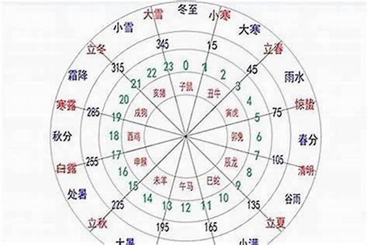 金木水火土对应八字