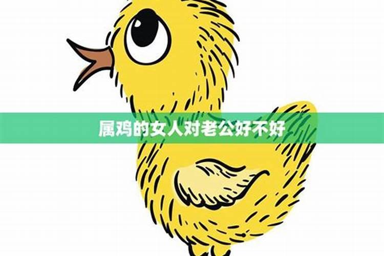 属鸡女对老公怎么样