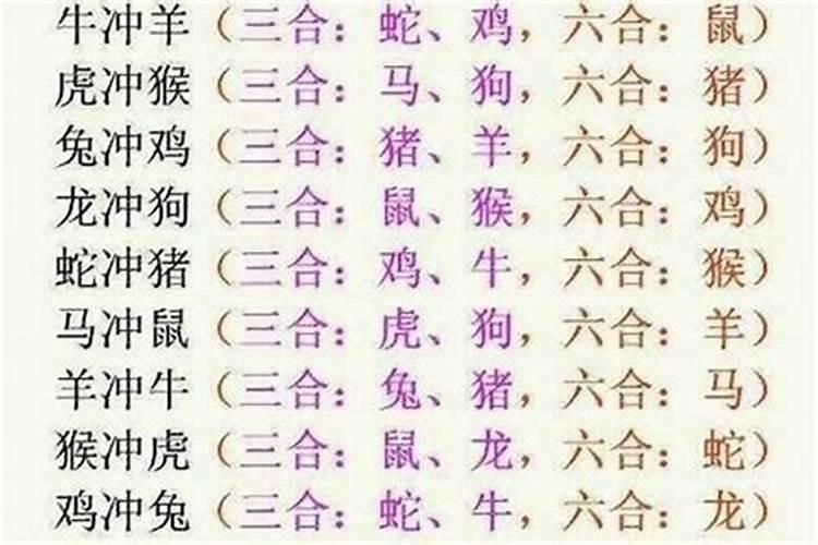 属狗和属猪的八字合不合财