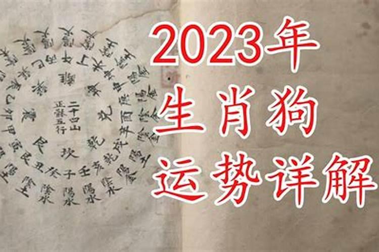 2023年生肖狗运势