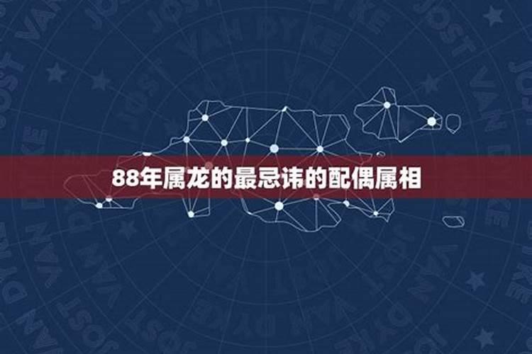 88年龙忌讳的属相