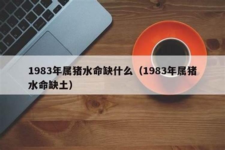 1983年属猪人命里缺什么