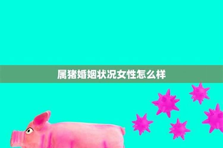 属猪人的婚姻状况怎么样啊女