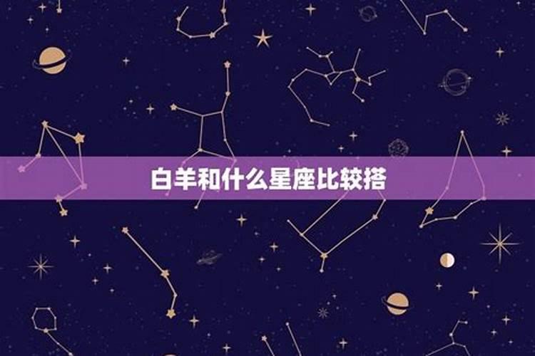 白羊座适合哪些星座