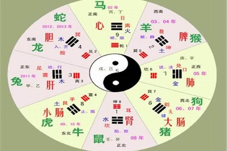 邓伦金晨八字合吗