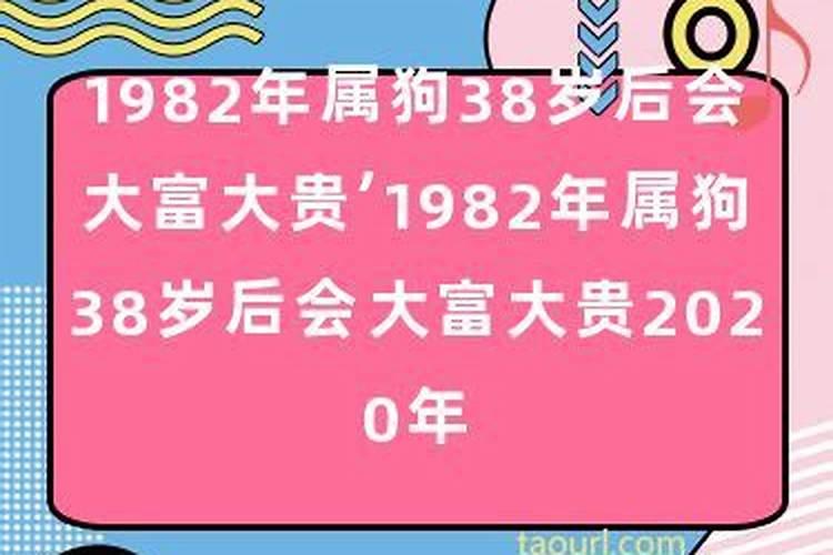 1982年属狗男38岁后会大富大贵