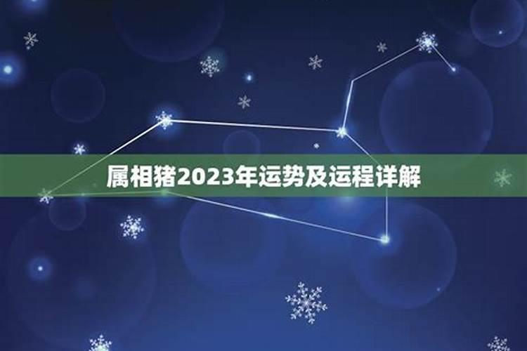 75属兔女2023年运程年好不好