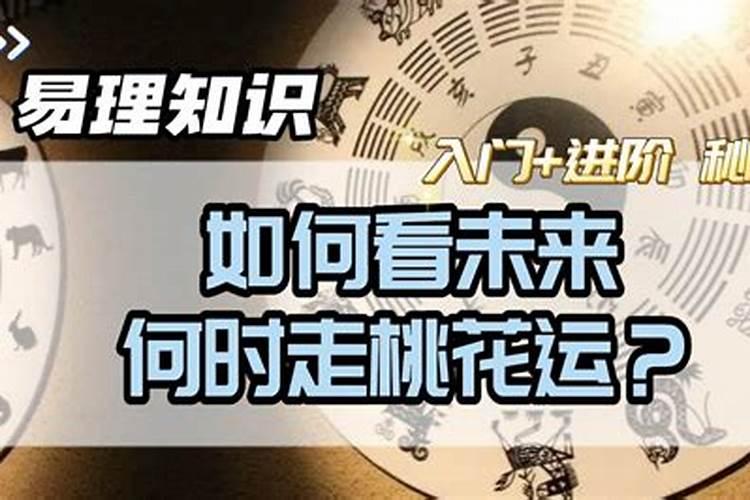 白羊座2023年每月运势完整版