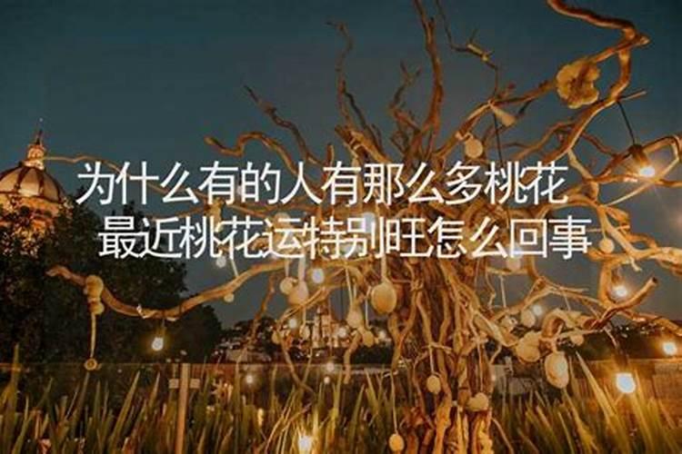 桃花运来了吗