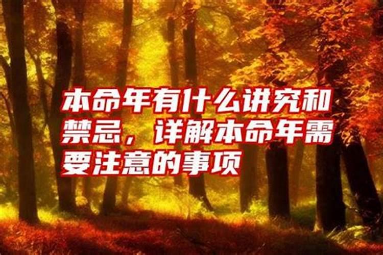 属牛的在2023年的运程怎么样