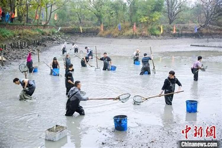 干塘里摸鱼指什么生肖