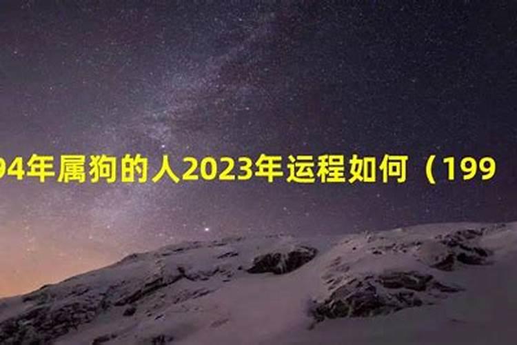 偏印格喜水木2023年运势