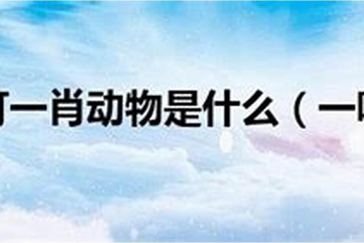 今年转运一鸣惊人的4个生肖