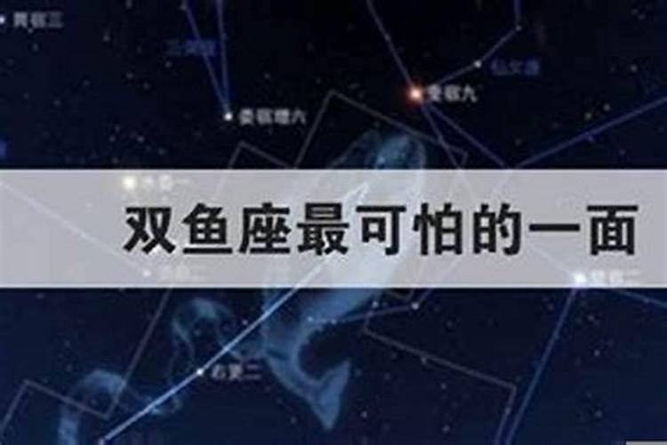 双鱼座的人长啥样