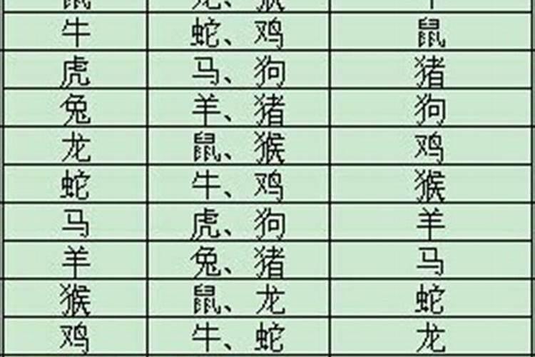 属蛇的6合贵人是什么