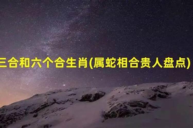 生肖属蛇的三合贵人