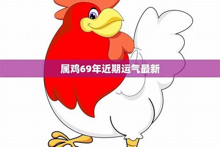 属鸡今日财运方位2019年运势