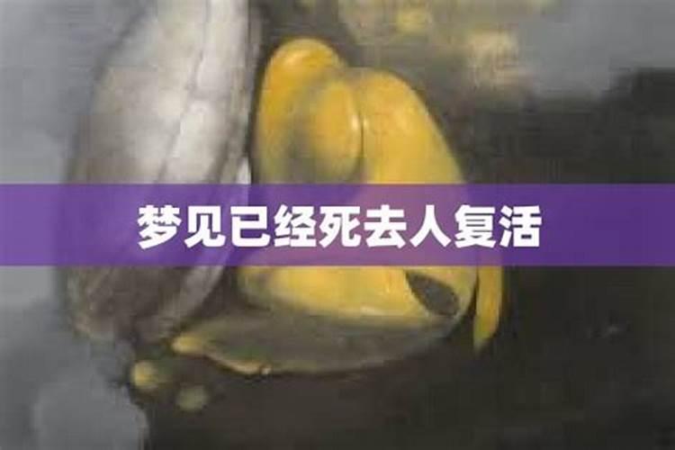 梦见死了的人在干活周公解梦