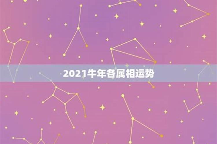 生肖龙牛年运势2021年运势12生肖