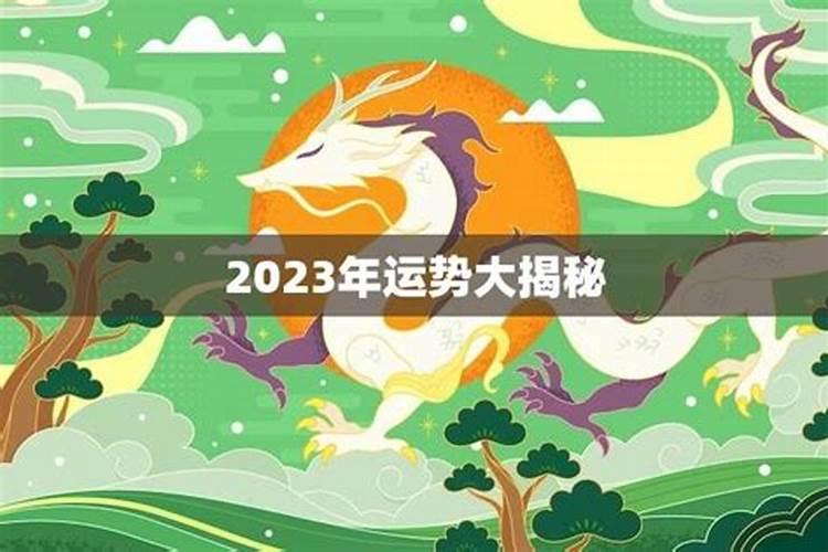 龙女今年的财运运势