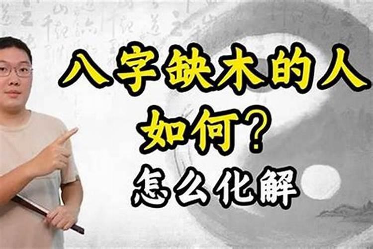 八字缺木的男人补什么