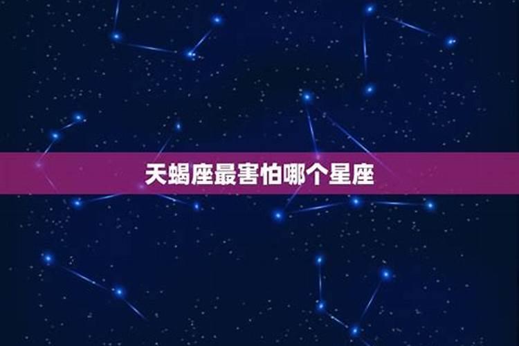 天蝎害怕哪个星座