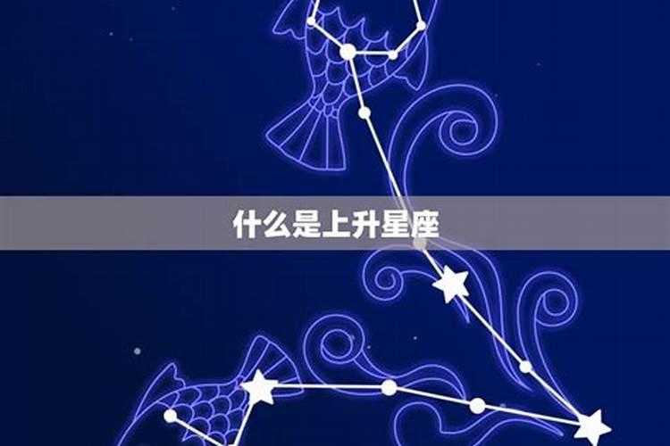 2.24双鱼座的上升星座是什么