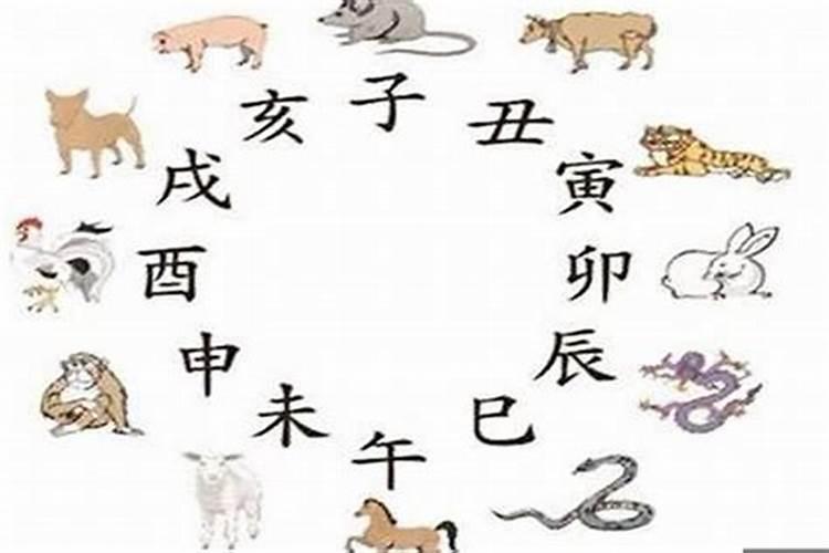 十二生肖.猪克什么