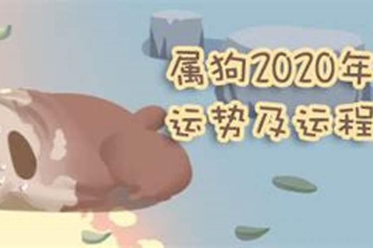 属狗人2023年12月运势如何