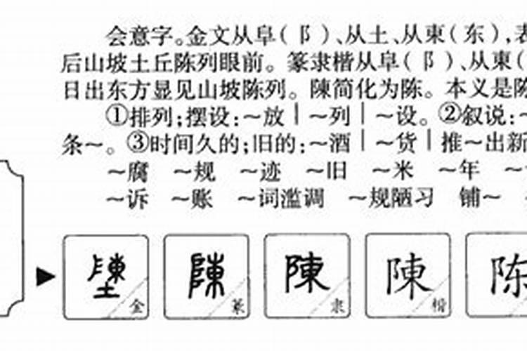 陈字属于五行属什么行