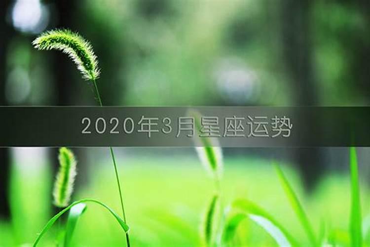 天秤座2021年跳槽