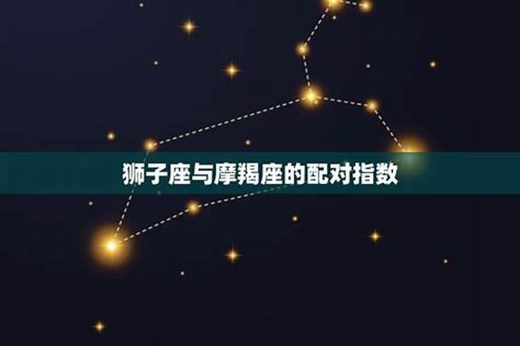 狮子座和摩羯座适合什么关系