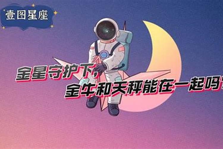 金星金牛金星天秤