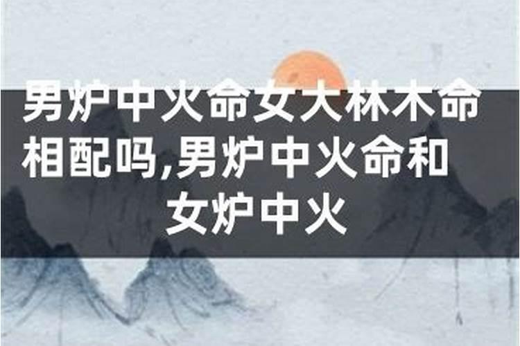 大林木命和炉中火命婚配好吗