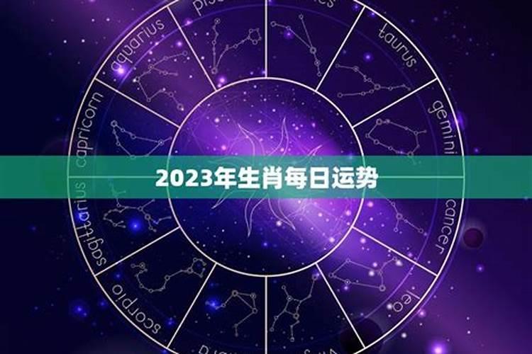 2023年生肖运势免费