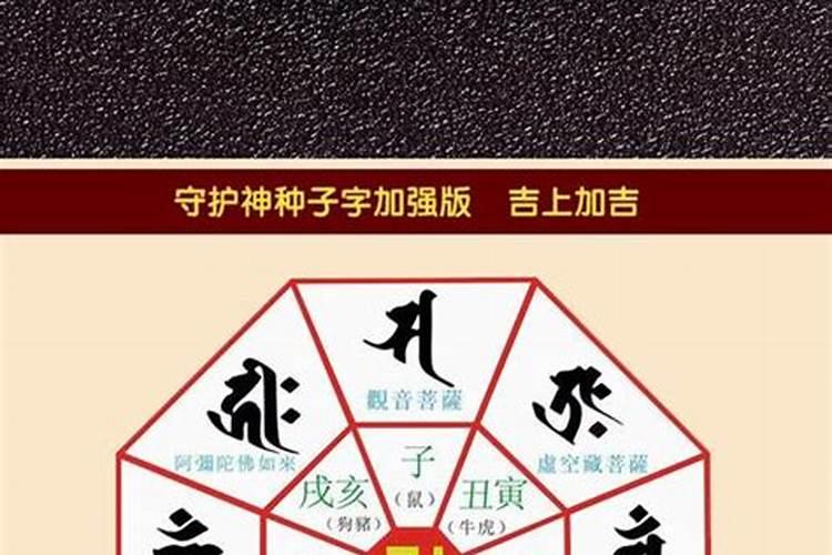 属羊人住房朝向和楼层有关系吗