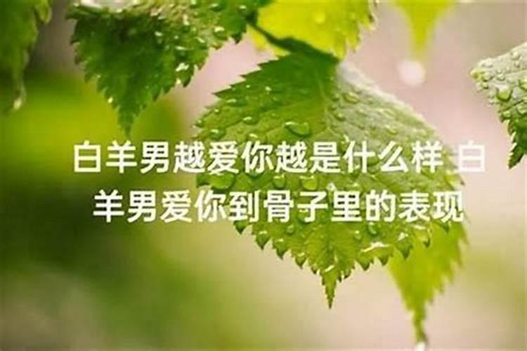 白羊男越来越爱你的表现