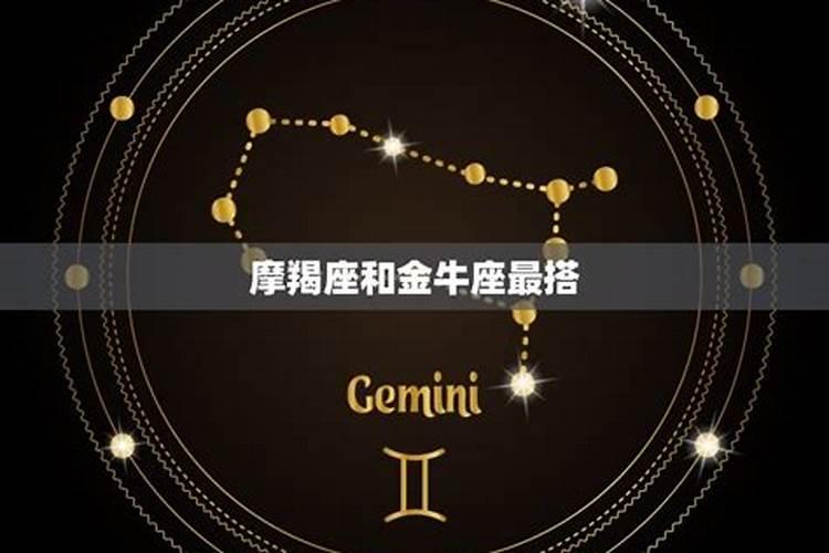 金牛摩羯什么星座