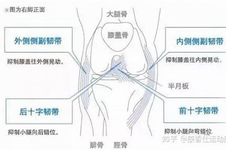 5月属猪人运势如何