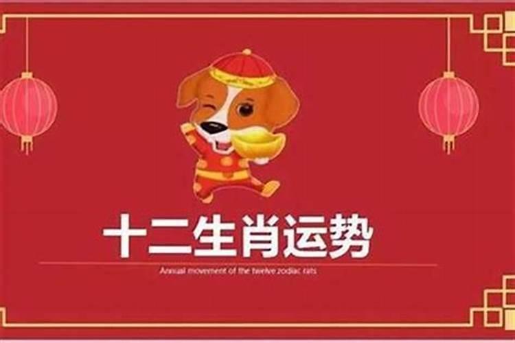 生肖狗什么年份运势好