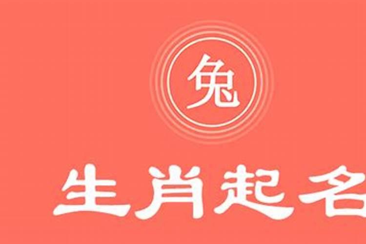 属兔的人起名字宜用字