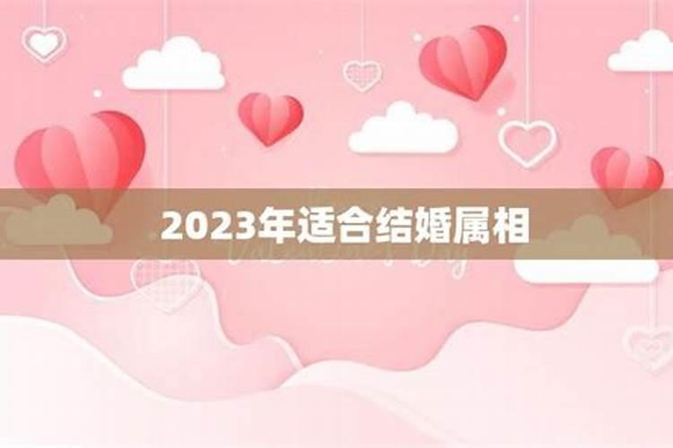 今年适合结婚的属相