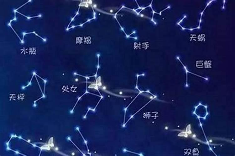 关于狐狸的星座名字