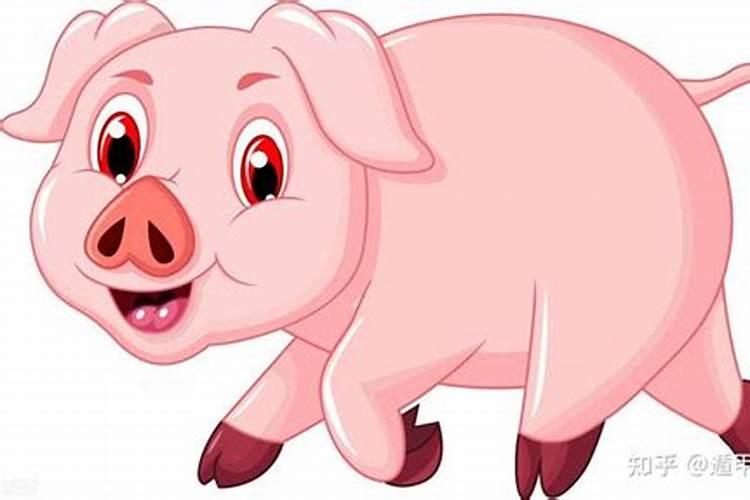 47年属猪人2021年健康运势