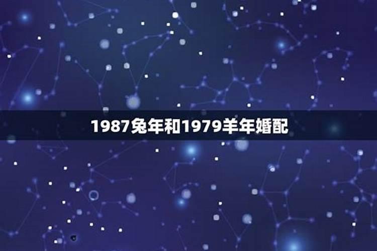 79年属羊男和87年属兔女的爱情