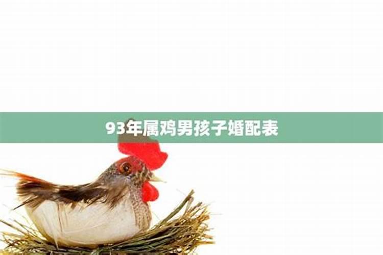 93年属鸡男和93属鸡女孩子求属什么