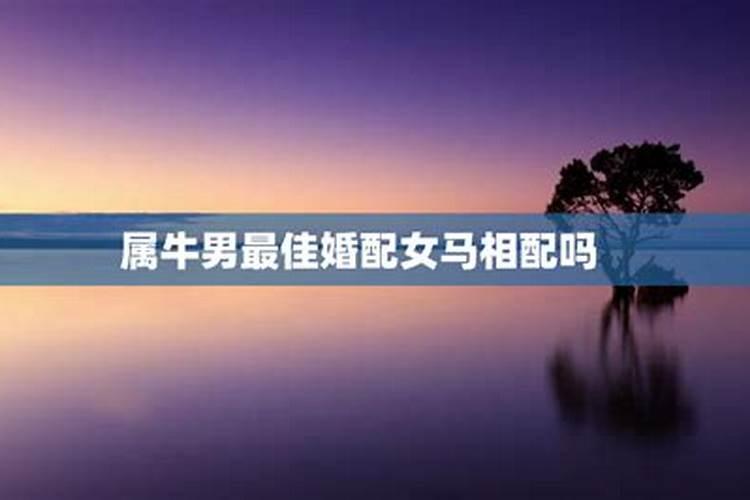 属牛今年的运势怎么样